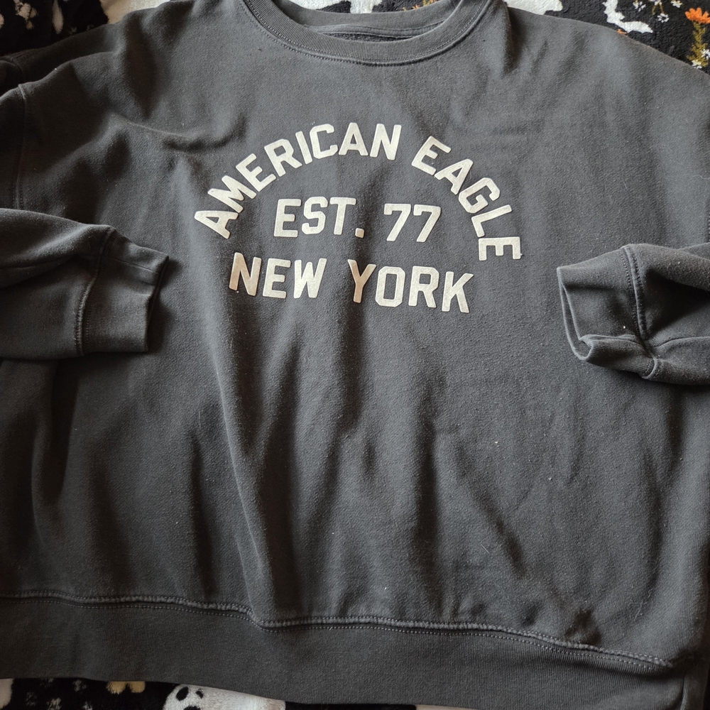American Eagle Outfitters Charcoal Crewneck Sweater